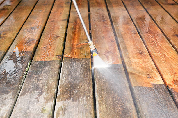 Animal Enclosure Cleaning in Conehatta, MS